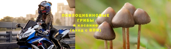 прущий лед Балахна